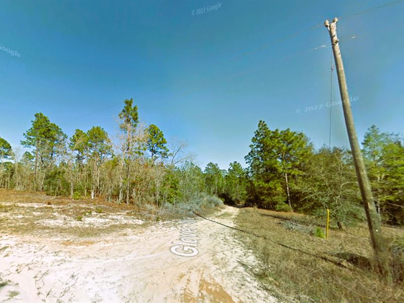 Power Pole Across The Street : Interlachen : Putnam County : Florida