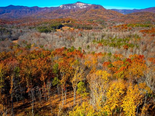 Tract with Views of Table Rock : Pickens : South Carolina