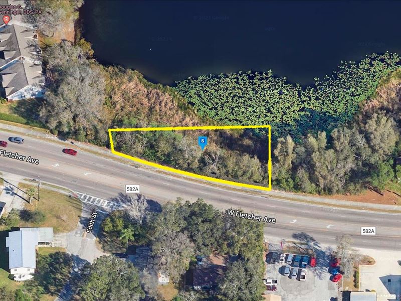 Perfect Land with Perfect Space : Tampa : Hillsborough County : Florida
