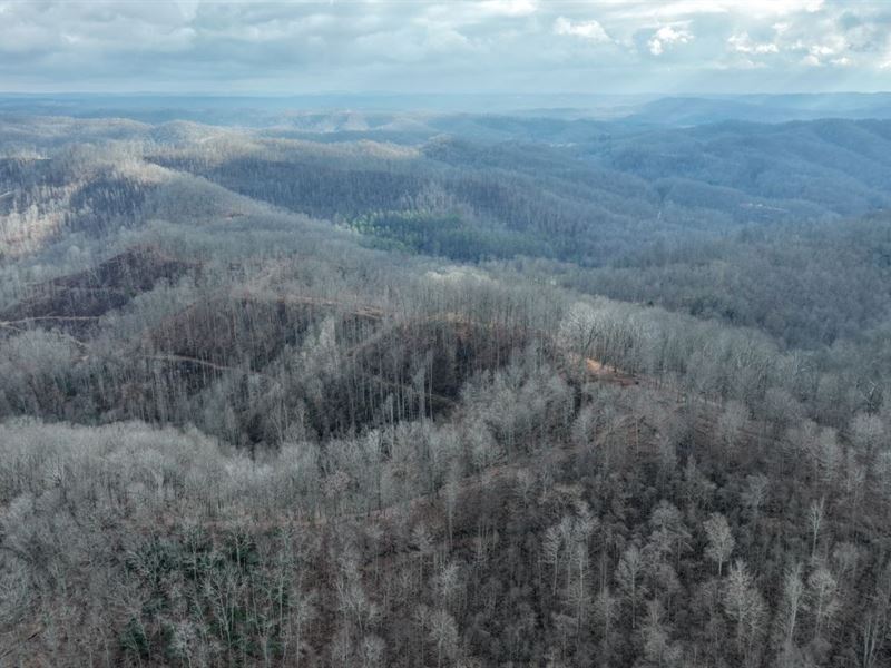 41 Acres in Raleigh County, WV : Beckley : Raleigh County : West Virginia