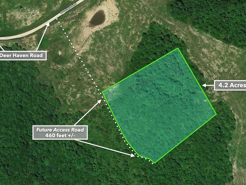 Wooded Lot with Power, Internet : Indian Mound : Stewart County : Tennessee