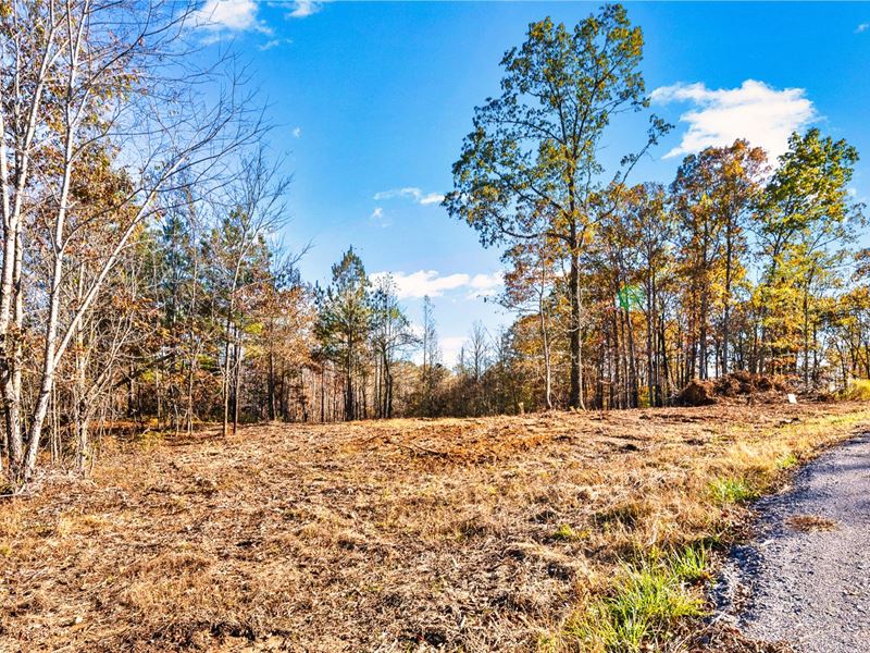 Wooded Lot with Power and Internet : Indian Mound : Stewart County : Tennessee