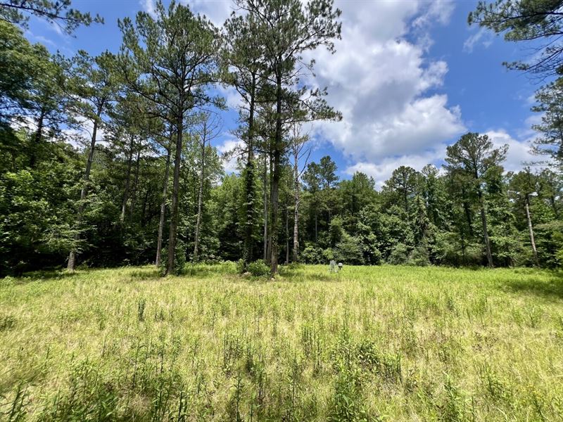 Tunnel Springs Hunting & Timber : Tunnel Springs : Monroe County : Alabama