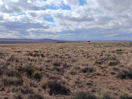 $10 Down Sale, Near Holbrook, AZ : Holbrook : Apache County : Arizona