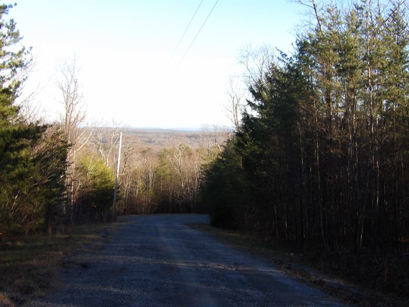 Creek, Level Building Spots, Views : Dunlap : Sequatchie County : Tennessee