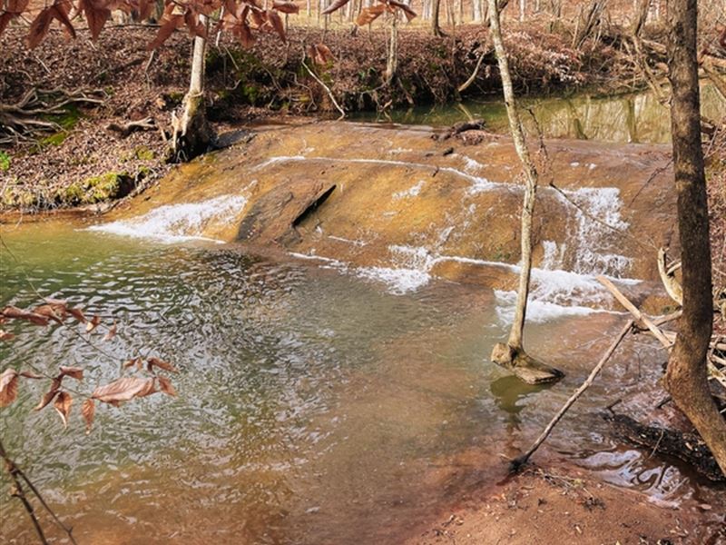 95 Acres in Monroe County, Georgia : Forsyth : Monroe County : Georgia