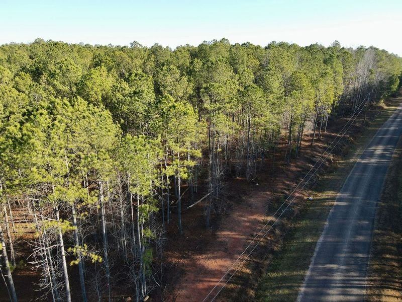 20 Acres Randolph County : Roanoke : Randolph County : Alabama