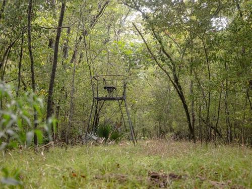 Hunting Land For Sale Just Outside : Saint Gabriel : Iberville Parish : Louisiana