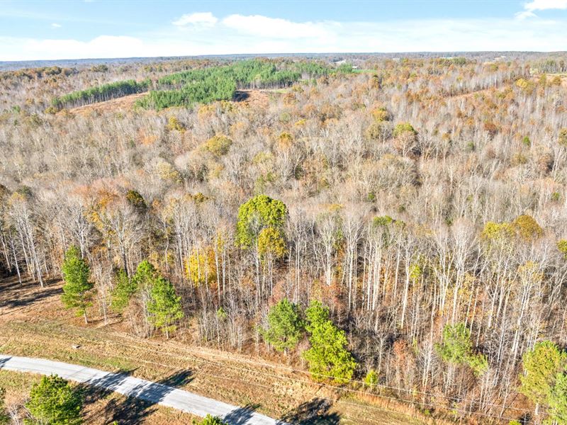 3.4 Wooded Acres with Road Access : Indian Mound : Stewart County : Tennessee