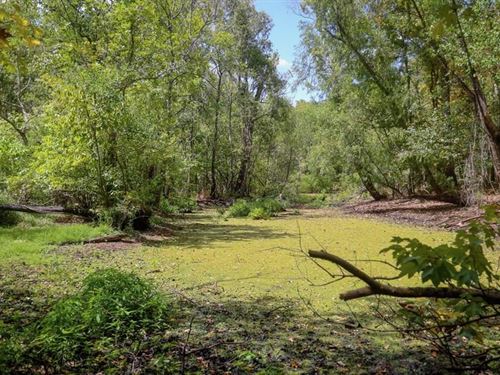 Hunting Land For Sale Just Outside : Saint Gabriel : Iberville Parish : Louisiana
