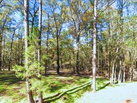 Near Lake, Affordable, Just $116/Mo : Avinger : Marion County : Texas