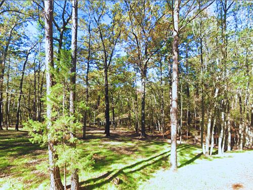 Near Lake, Affordable, Just $116/Mo : Avinger : Marion County : Texas