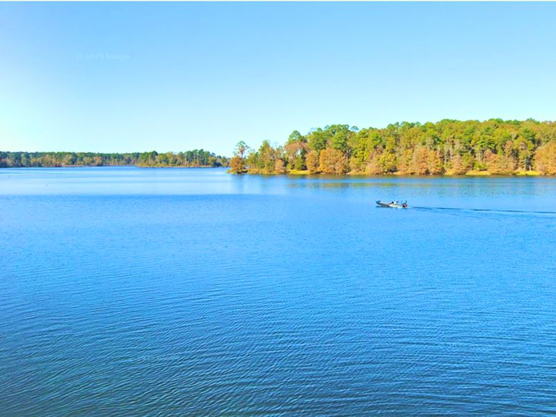 Camp or Build, 0.24 Acre Near Lake : Avinger : Marion County : Texas