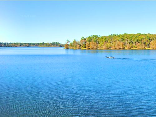 Camp or Build, 0.24 Acre Near Lake : Avinger : Marion County : Texas