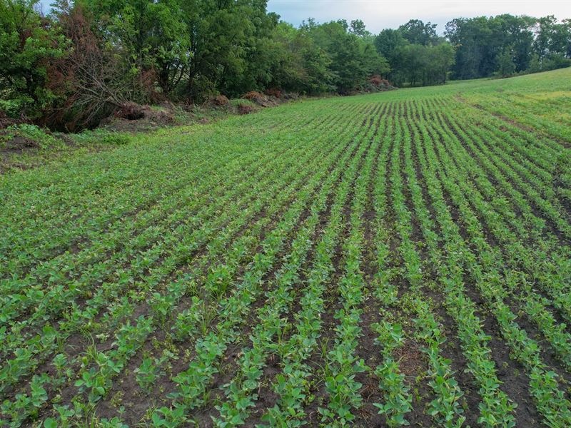 Mercer County Farm and Hunt : Princeton : Mercer County : Missouri