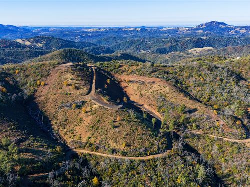 Hawver Road 40 : San Andreas : Calaveras County : California