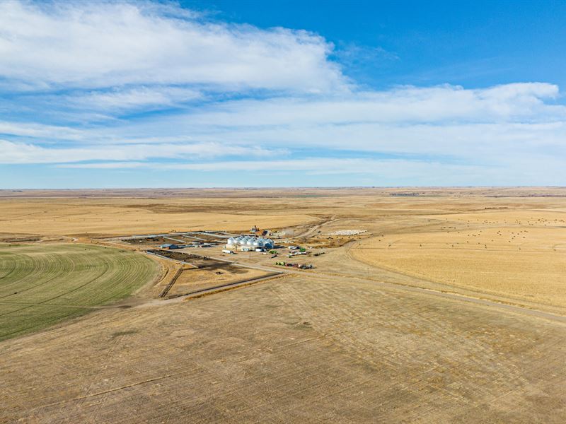 Auction, Kit Carson County : Bethune : Kit Carson County : Colorado