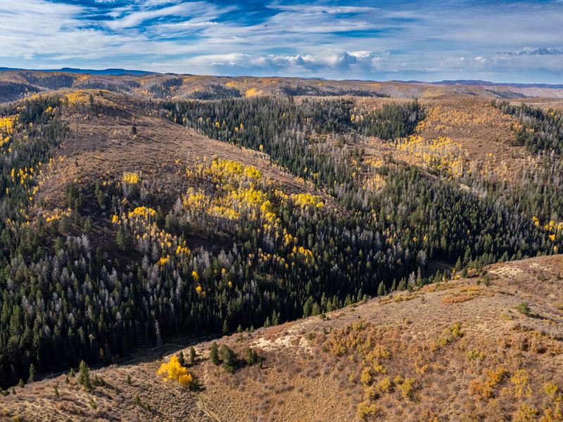 Cow Creek Ranch Tract 1 : Rifle : Garfield County : Colorado