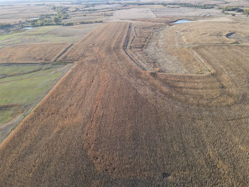 Jewell County Tillable : Burr Oak : Jewell County : Kansas