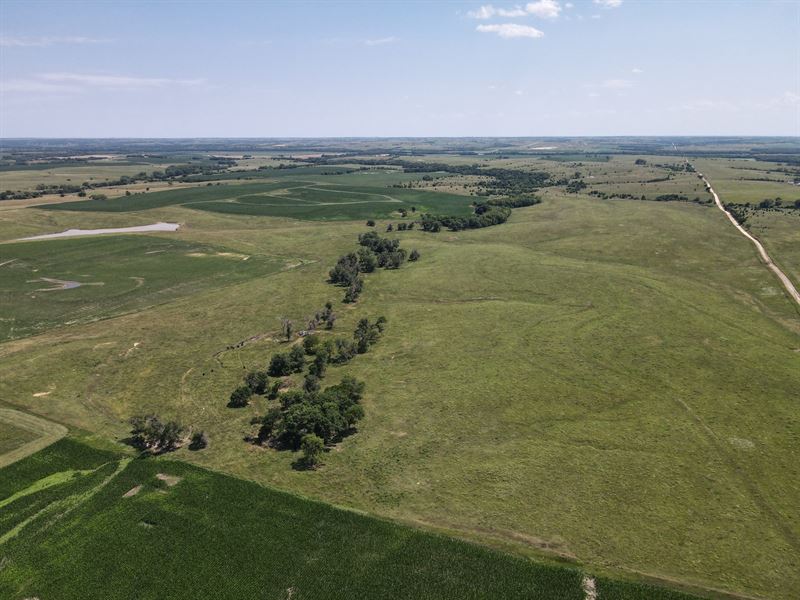 Jewell County Pasture : Burr Oak : Jewell County : Kansas