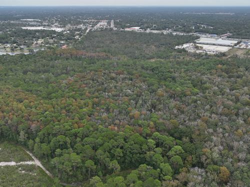 Weeki Wachee Preserve Rec Tract : Weeki Wachee : Hernando County : Florida
