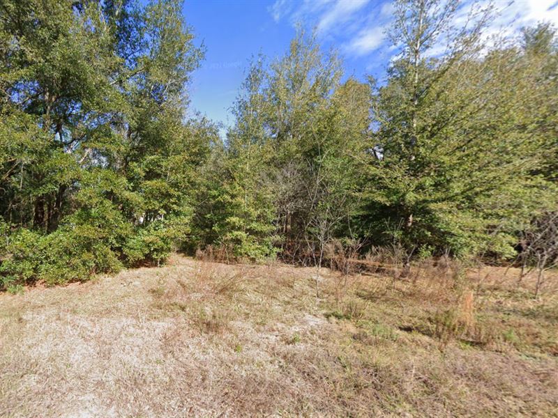 .48 AC Wooded Lake Living : Interlachen : Putnam County : Florida