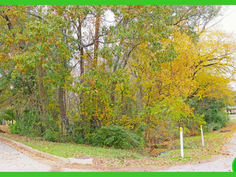 .51 Acre in Quitman, Texas : Quitman : Wood County : Texas