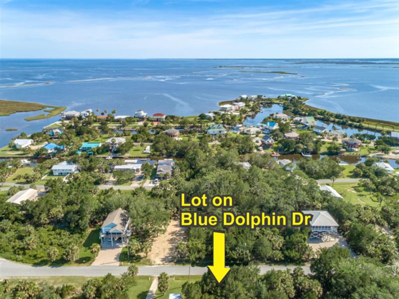 Build Your Coastal Dream, No HOA : Crawfordville : Wakulla County : Florida