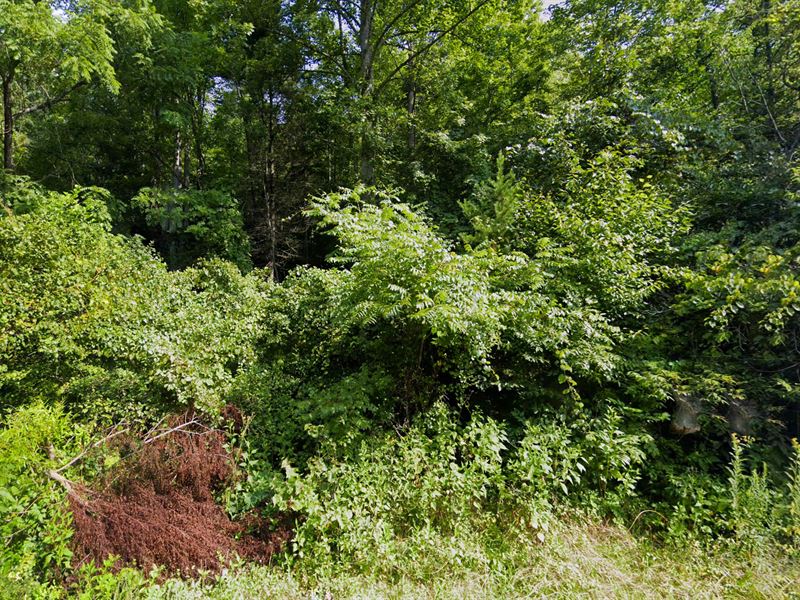 Unrestricted Acreage, Land for Sale by Owner in Virginia, 366214