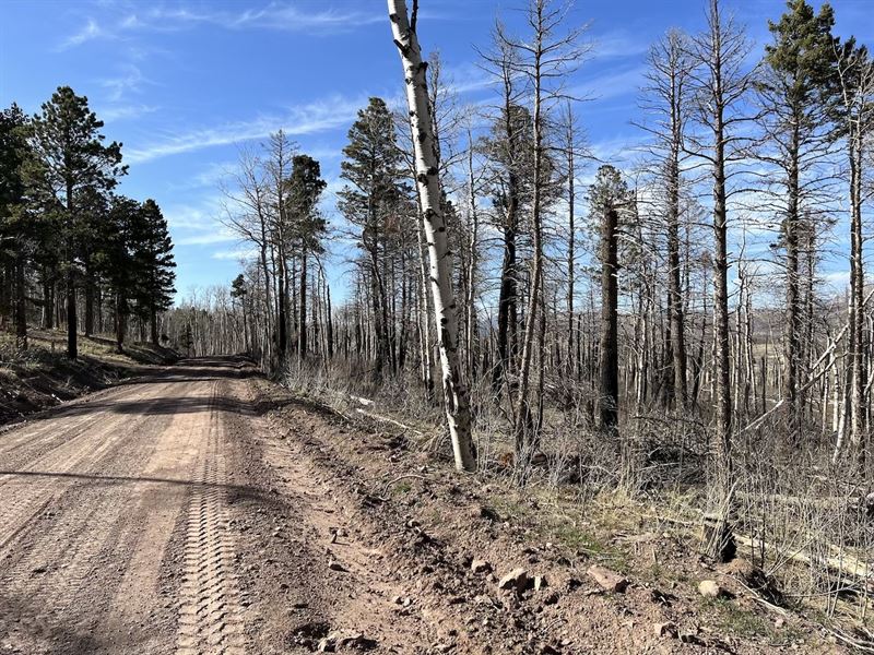 Secluded Lot in Forbes Park : Fort Garland : Costilla County : Colorado