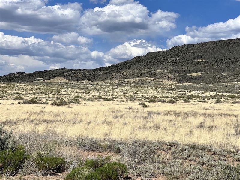 Beautiful Corner Lot, Near Hwy 159 : San Luis : Costilla County : Colorado