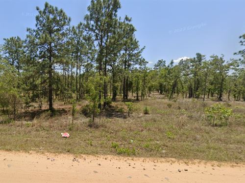 Your Hawthorne Lot on Washington Dr : Interlachen : Putnam County : Florida