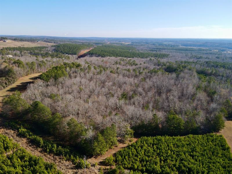 58 Acres in Randolph County : Roanoke : Randolph County : Alabama