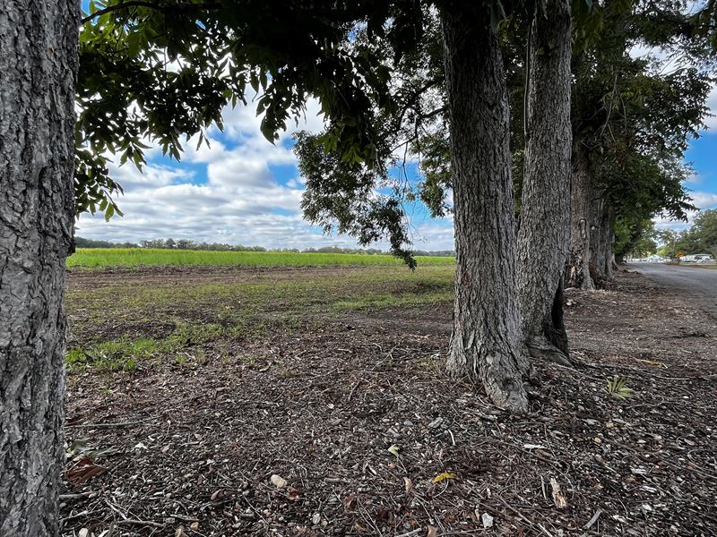 1.16 Acres in St. Martin Parish, LA : Breaux Bridge : Saint Martin Parish : Louisiana