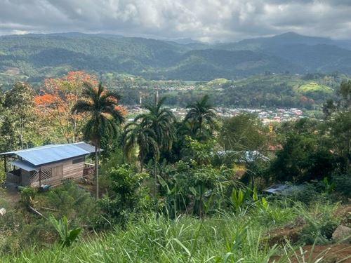 Beautiful 1.5 Acre Property : Pejibaye : Costa Rica