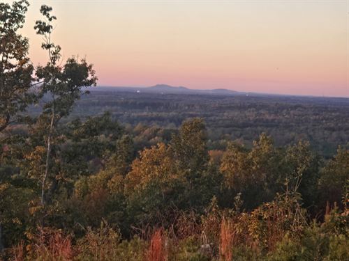 What A View : Green Bay : Prince Edward County : Virginia