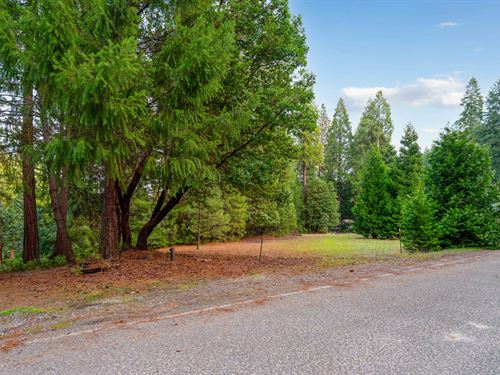 Amador County California Land for Sale : LANDFLIP