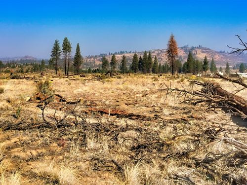 How Much Longer Can You Wait : Chiloquin : Klamath County : Oregon