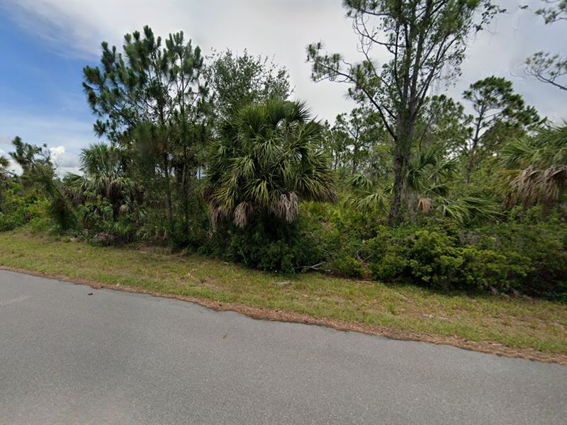 14420 Carney Ave on a Paved Road : Port Charlotte : Charlotte County : Florida