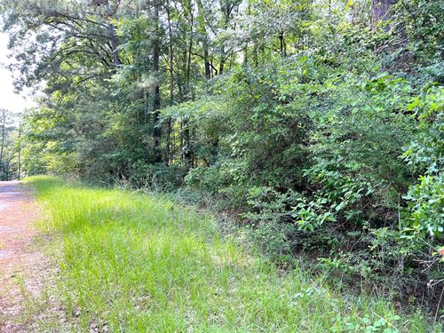 Lake Community 1Hr From Houston, TX : Trinity : Texas