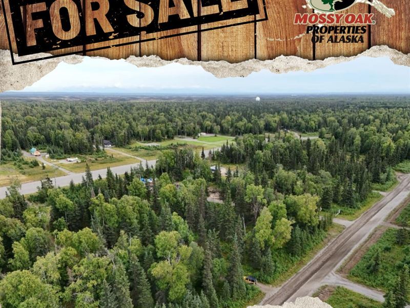1.73 Ac Lot with Airstrip Access : Kenai : Kenai Peninsula Borough : Alaska