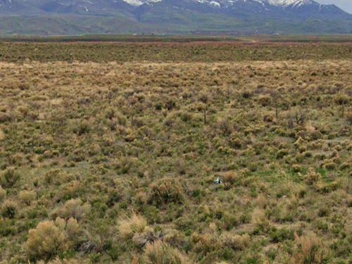 Elm St in Elko County : Montello : Elko County : Nevada