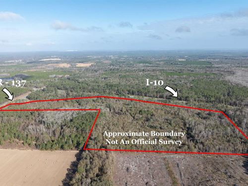 Highway and Interstate Frontage : Live Oak : Suwannee County : Florida