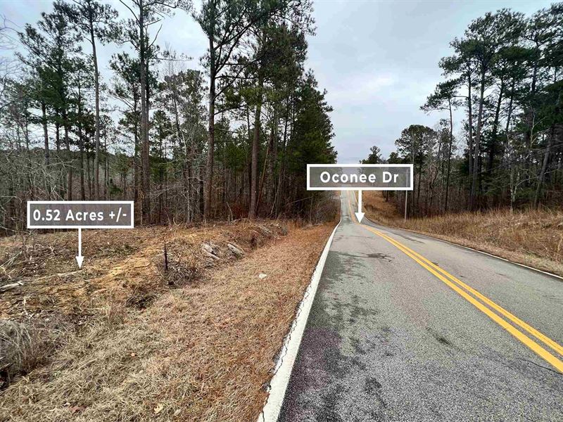 .52 Acre 30 Min From Milledgeville : Sparta : Hancock County : Georgia