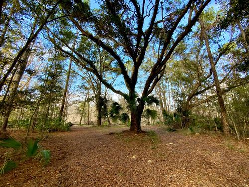 Econfina Riverfront 936 : Lamont : Jefferson County : Florida