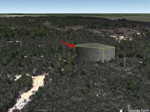 $153/Mo, Invest to Preserve : Sebring : Highlands County : Florida