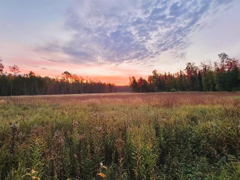 80 AC Near Lake Superior : Saxon : Iron County : Wisconsin