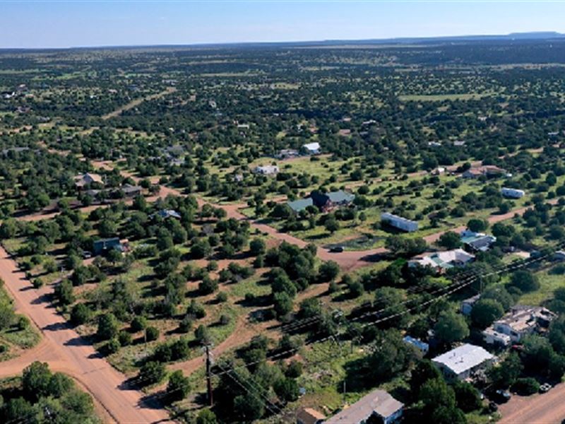 Coveted Land in White Mountain Lake : Show Low : Navajo County : Arizona