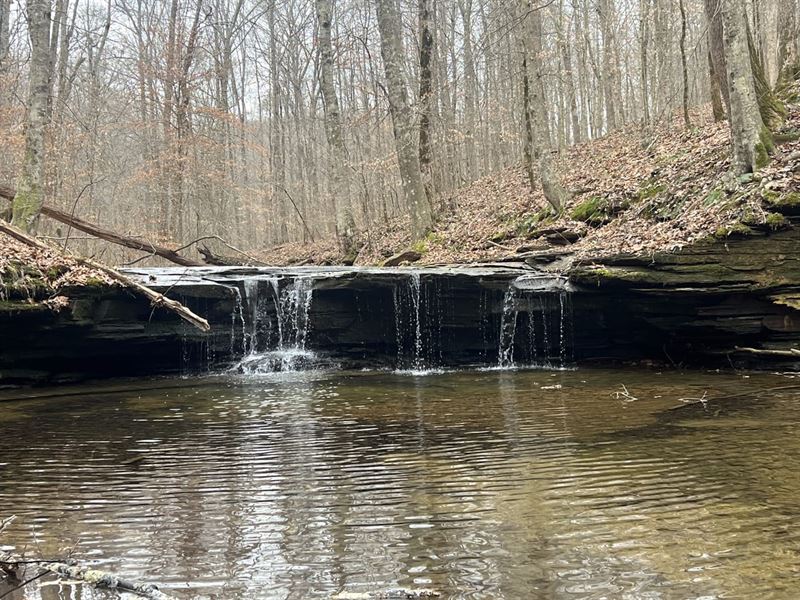 Excellent Hunting/Recreational Prop : Lafayette : Macon County : Tennessee