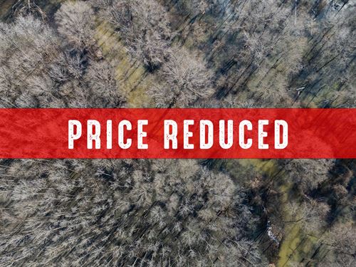 Mallard Knob Hunting Club : Des Arc : Prairie County : Arkansas